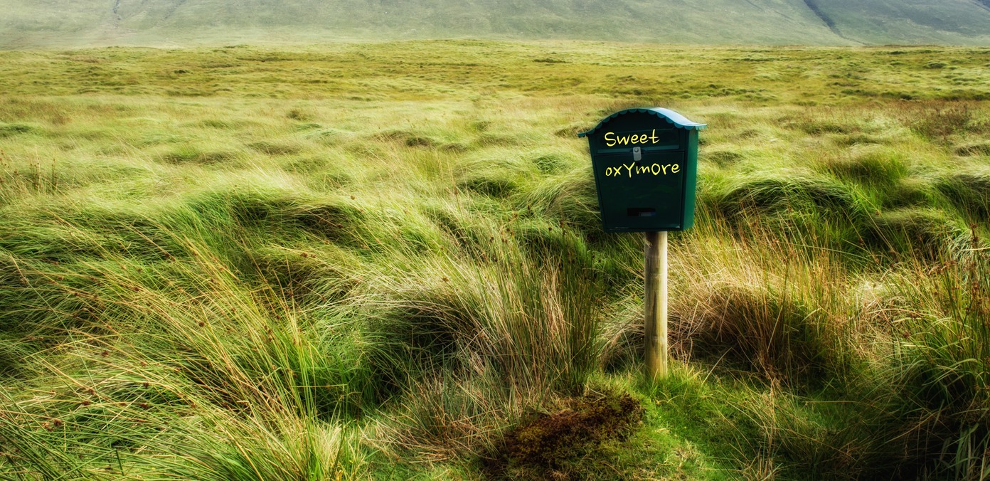 20130819 17h39 P8193328-Modifier.jpg